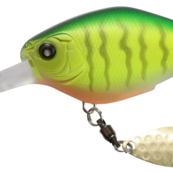 NISHINE - CHIPPAWA ROUND BILL - DEEP DIVING