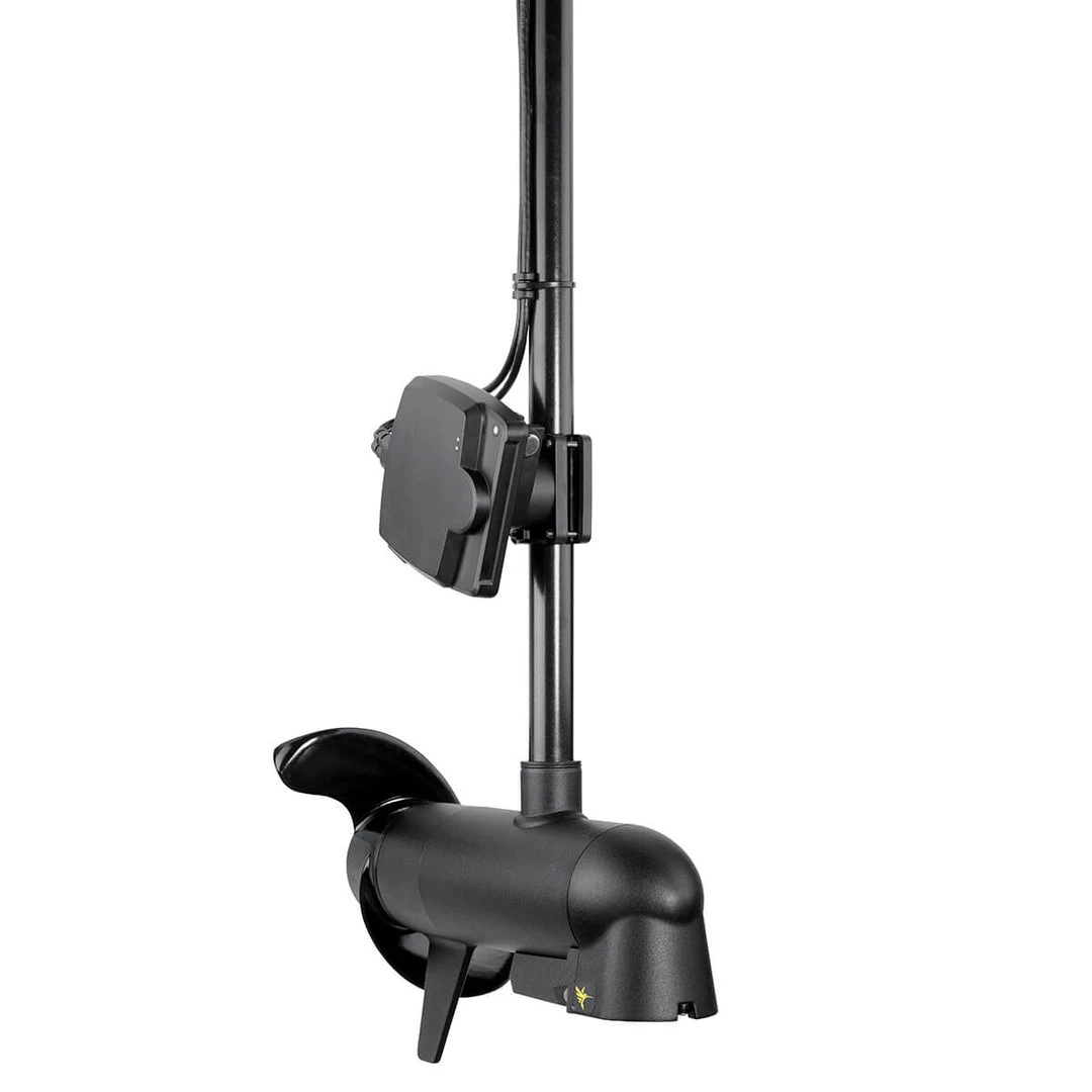 HUMMINBIRD MEGA Live Imaging - 3 Available For Pre-order 3 HUMMINBIRD MEGA Live Imaging - 3 Available For Pre-order