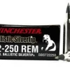 Rifle Ammo Winchester Ballistic Silver Tip