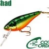 Cotton Cordell CC Shad # 6 2 1/2" Hard Baits