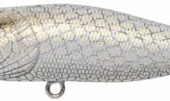 High Falls Outfitters Megabass Pop X Standard Floating Lure White Python Hard Baits