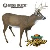 Decoys FLAMBEAU MASTERS SERIES BUCK DECOY