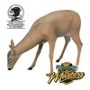 FLAMBEAU MASTERS SERIES GRAZING DOE DECOY Decoys