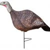 PRIMOS PHOTOFORM HEN TURKEY DECOY Decoys