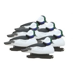 Decoys GREENHEAD GEAR HUNTER SERIES FOAM FILLED BUFFLEHEADS 6 PK