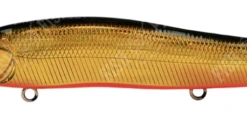 High Falls Outfitters Megabass Oneten R (SP-C) GG Kinkuro 1.7M Hard Baits