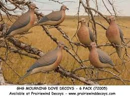 GREENHEAD GEAR GHG Mourning Dove Decoys 3 GREENHEAD GEAR GHG Mourning Dove Decoys