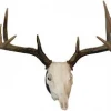 HUNTER SPECIALTIES Hunting Accessories HS EUROPEAN MOUNT KIT