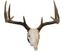 HUNTER SPECIALTIES Hunting Accessories HS EUROPEAN MOUNT KIT