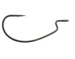 BERKLEY FUSION19 OFFSET EWG NEEDLE POINT Terminal Tackle