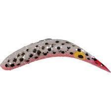 YAKIMA BAIT WORDEN'S FLATFISH Hard Baits 5 YAKIMA BAIT WORDEN'S FLATFISH Hard Baits