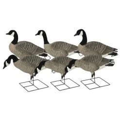 GREENHEAD GEAR GHG- PRO GRADE XD CANADA HARVESTER 6 PACK Decoys