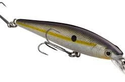 STRIKE KING - KVD JERKBAIT Hard Baits 28 STRIKE KING - KVD JERKBAIT Hard Baits