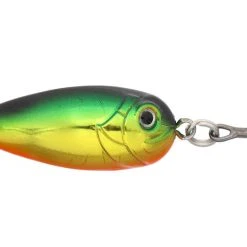 EUROTACKLE- LIVE SPOON Spoons