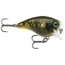 Hard Baits RAPALA - BX BRAT