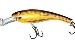 COTTON CORDELL - WALLY DIVERS