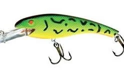 COTTON CORDELL - WALLY DIVERS