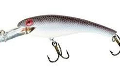 COTTON CORDELL - WALLY DIVERS