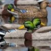 Decoys GREENHEAD GEAR PRO GRADE XD MALLARD HARVESTER PACK 12 PACK