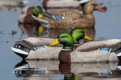 Decoys GREENHEAD GEAR PRO GRADE XD MALLARD HARVESTER PACK 12 PACK