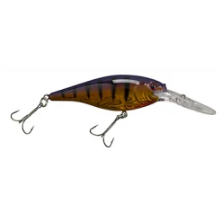 BERKLEY FLICKER SHAD (Part 1)
