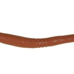 BERKLEY - GULP KILLER CRAWLER Soft Baits