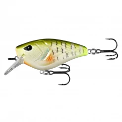 Hard Baits 13 Fishing Warthog Squarebill