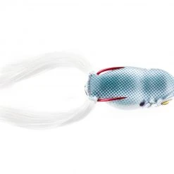 SCUM FROG LAUNCH SERIES