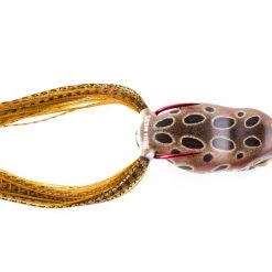 SCUM FROG LAUNCH SERIES