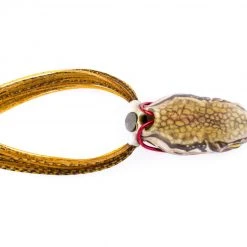 SCUM FROG LAUNCH SERIES