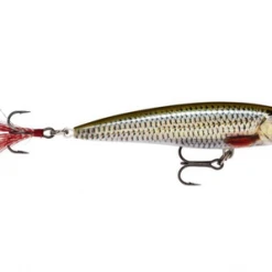 Hard Baits Rapala X-Rap. Live Roach 10 Cm., 4 "