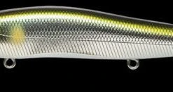 High Falls Outfitters Hard Baits Megabass Vision Oneten (Suspend) Wagin Ayu 110.5mm 1/2 Oz.